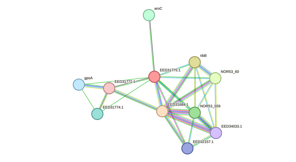 STRING protein interaction network