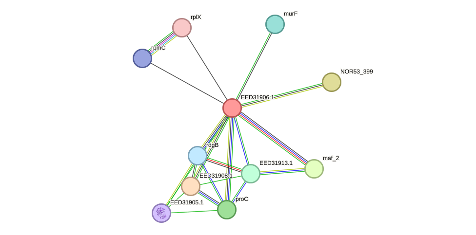 STRING protein interaction network