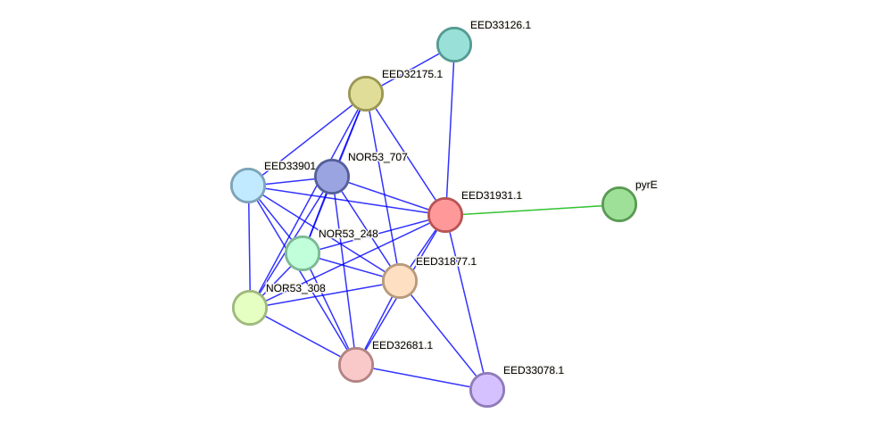 STRING protein interaction network