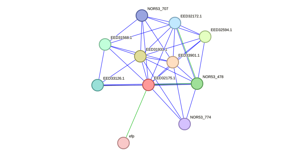 STRING protein interaction network