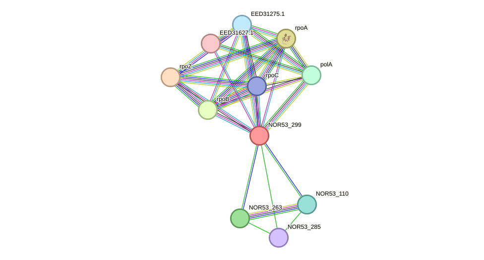 STRING protein interaction network
