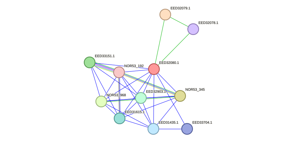 STRING protein interaction network