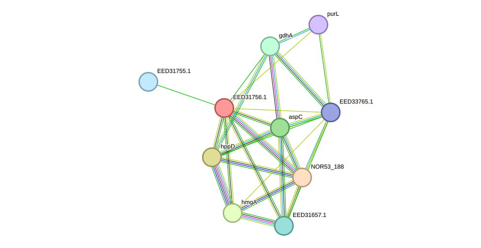 STRING protein interaction network