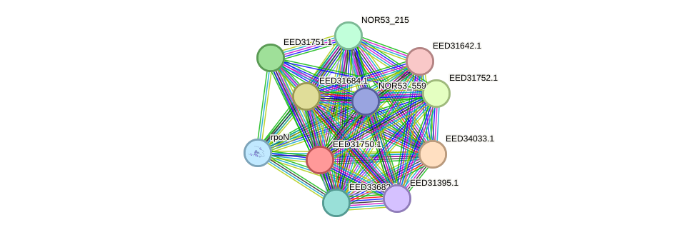 STRING protein interaction network