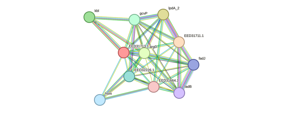 STRING protein interaction network