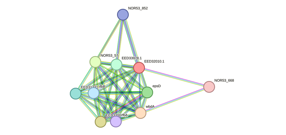 STRING protein interaction network