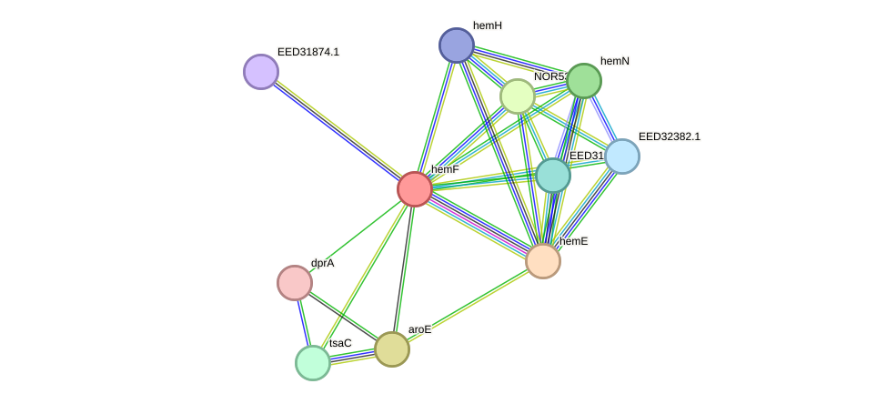 STRING protein interaction network
