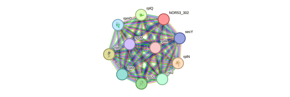 STRING protein interaction network