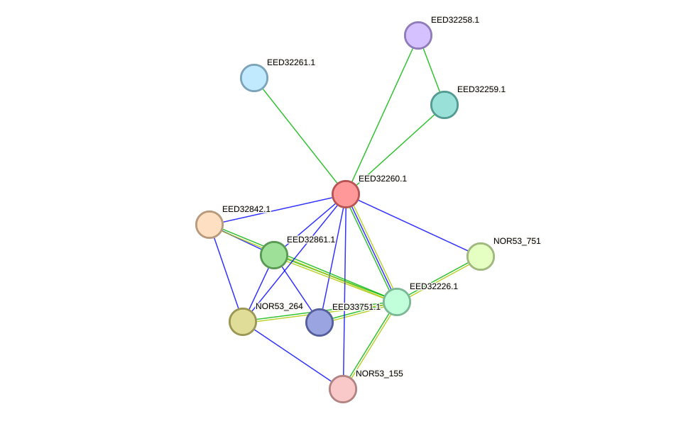 STRING protein interaction network