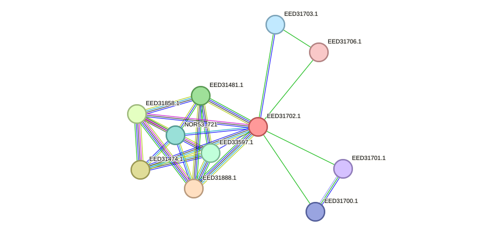 STRING protein interaction network