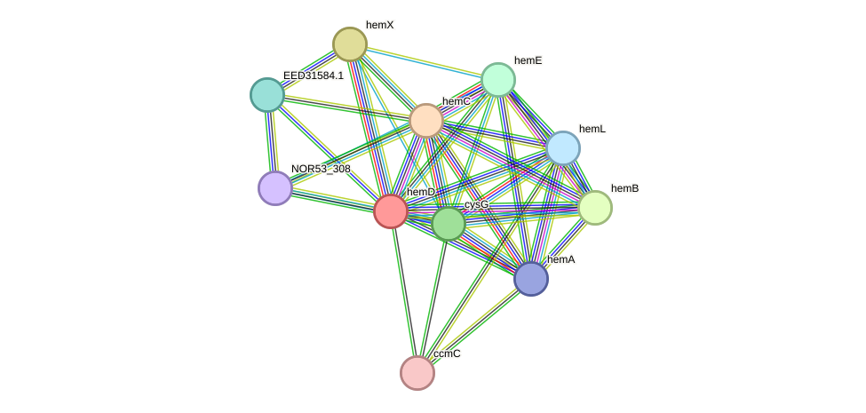 STRING protein interaction network