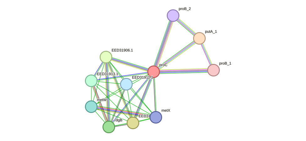 STRING protein interaction network