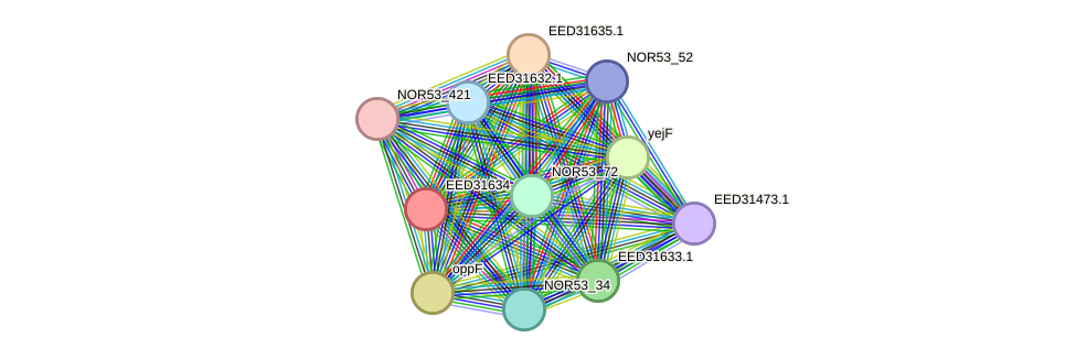 STRING protein interaction network