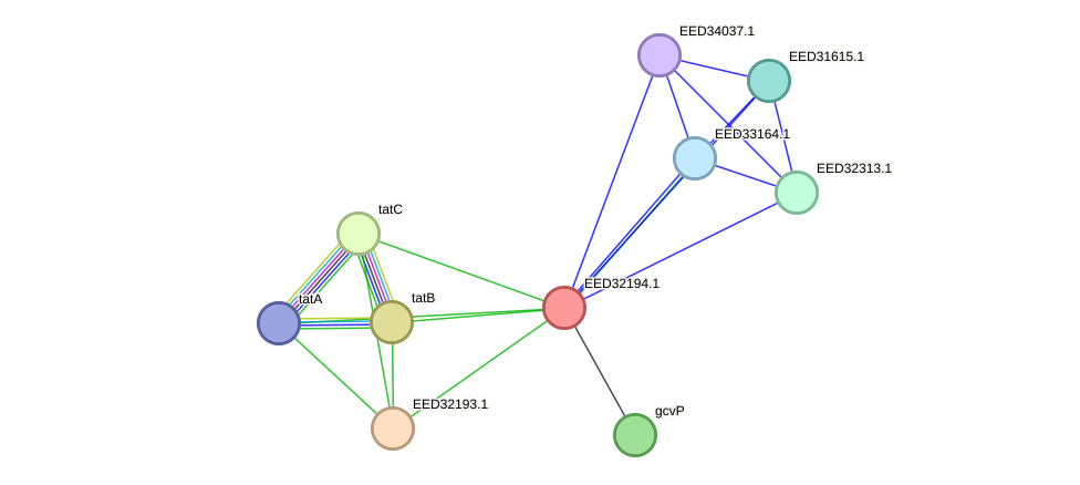 STRING protein interaction network