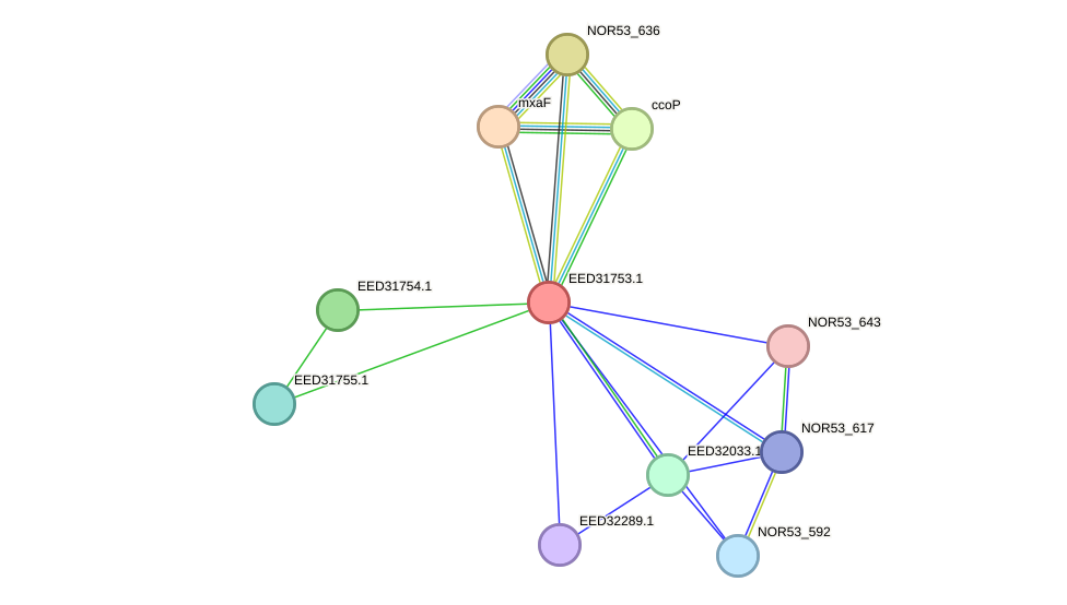 STRING protein interaction network