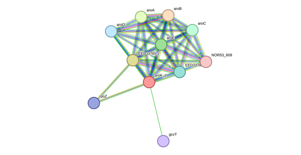 STRING protein interaction network