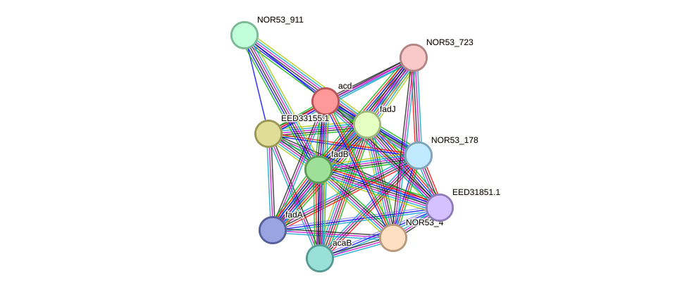 STRING protein interaction network