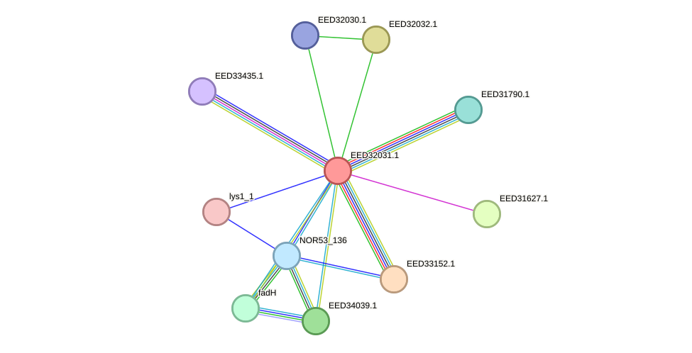 STRING protein interaction network