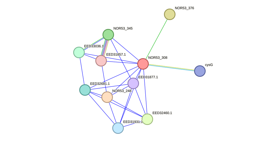 STRING protein interaction network