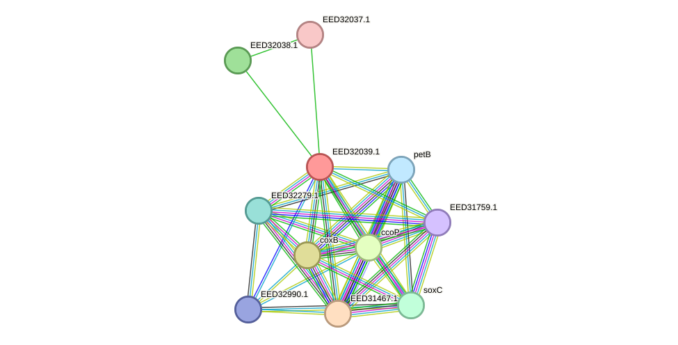 STRING protein interaction network