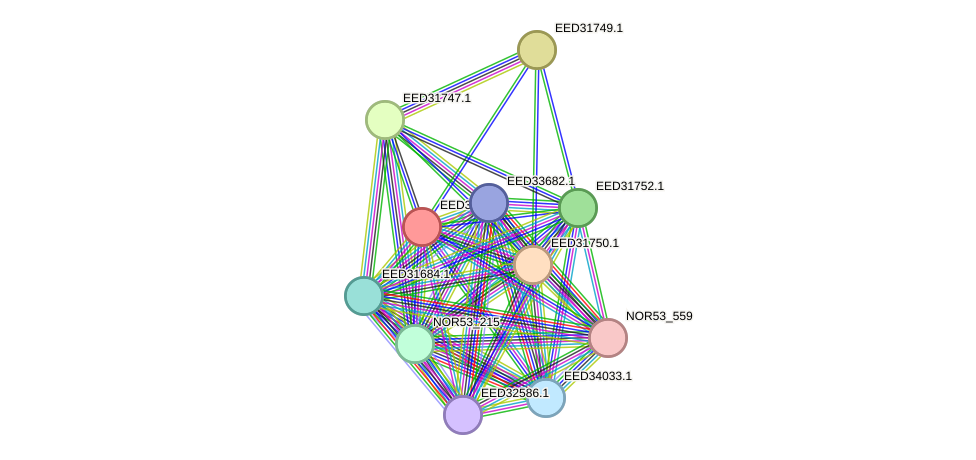 STRING protein interaction network