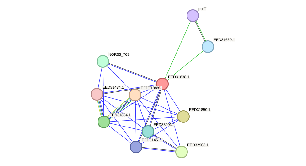 STRING protein interaction network