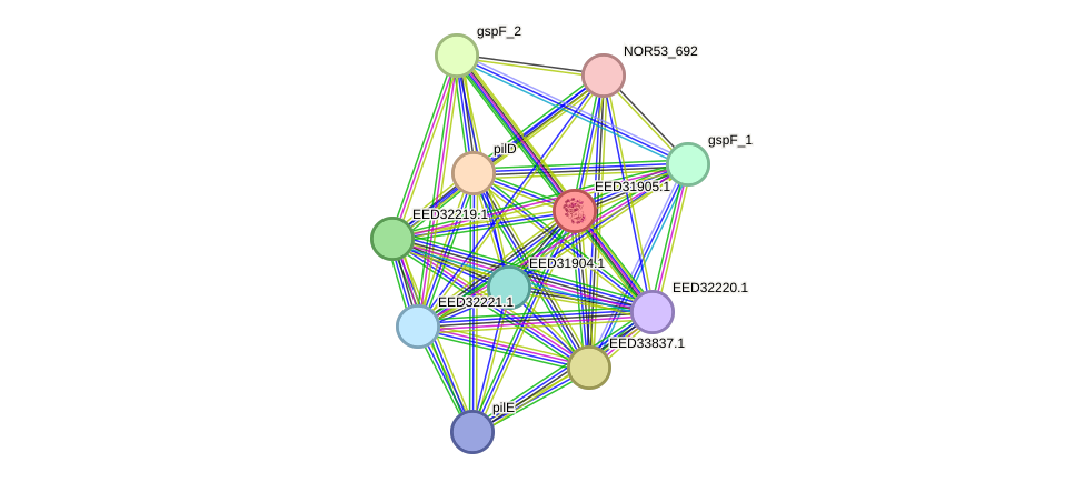 STRING protein interaction network
