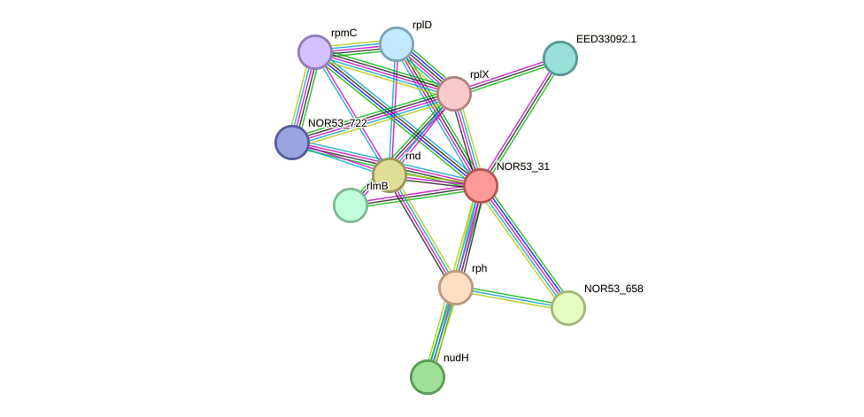 STRING protein interaction network