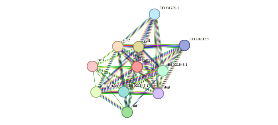 STRING protein interaction network