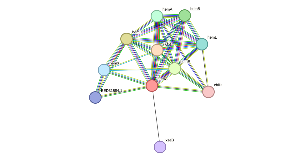STRING protein interaction network