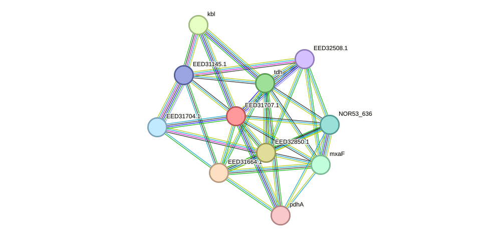 STRING protein interaction network