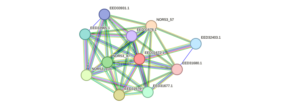 STRING protein interaction network