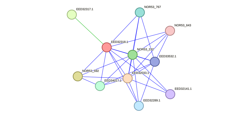 STRING protein interaction network