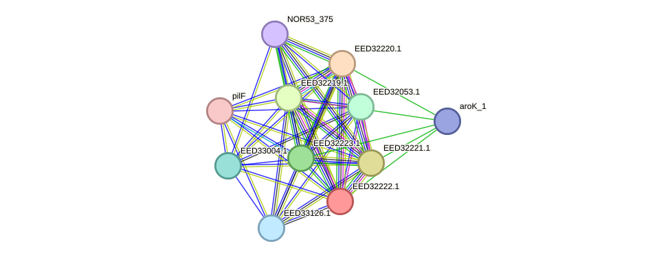 STRING protein interaction network