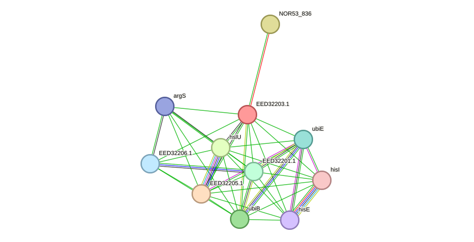 STRING protein interaction network