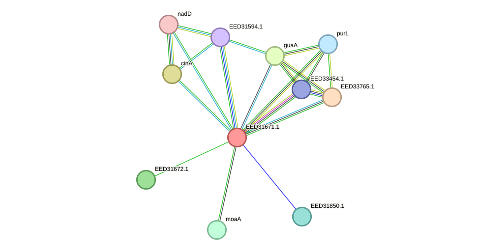 STRING protein interaction network