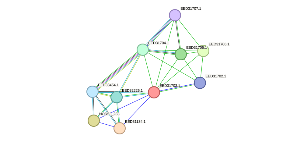 STRING protein interaction network