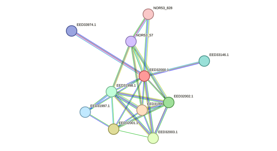 STRING protein interaction network