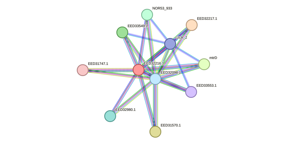 STRING protein interaction network