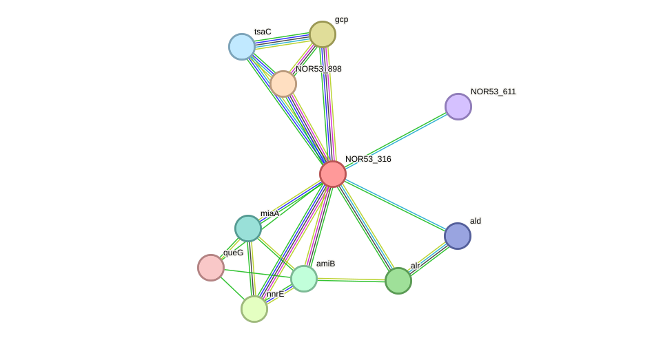 STRING protein interaction network