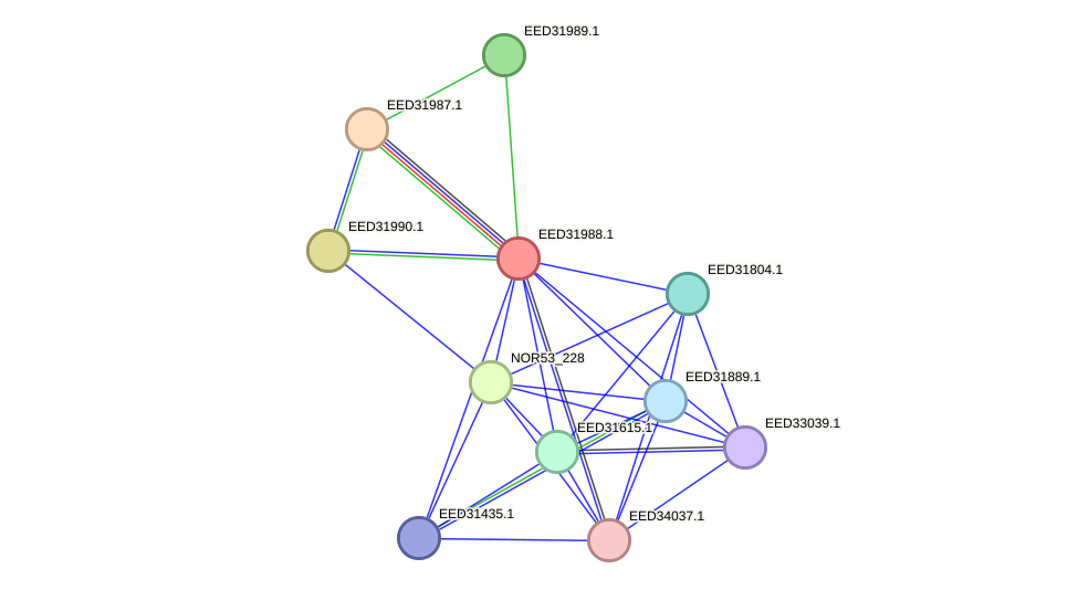 STRING protein interaction network