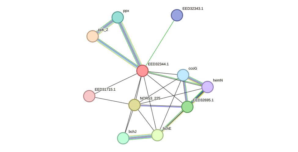 STRING protein interaction network