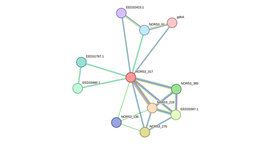 STRING protein interaction network