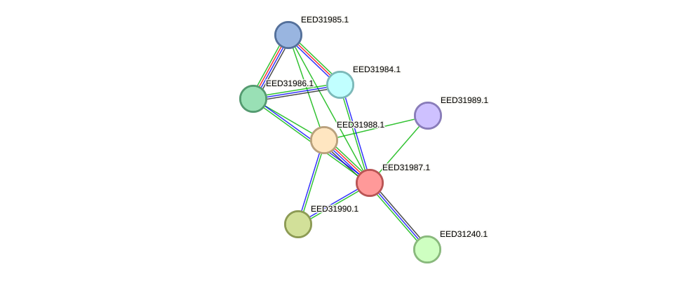 STRING protein interaction network