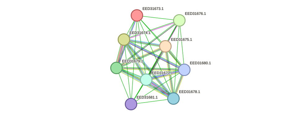 STRING protein interaction network
