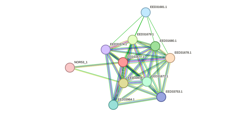 STRING protein interaction network