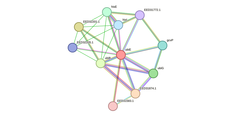 STRING protein interaction network