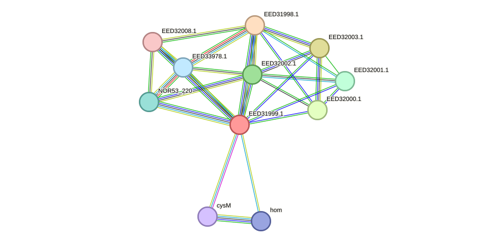 STRING protein interaction network