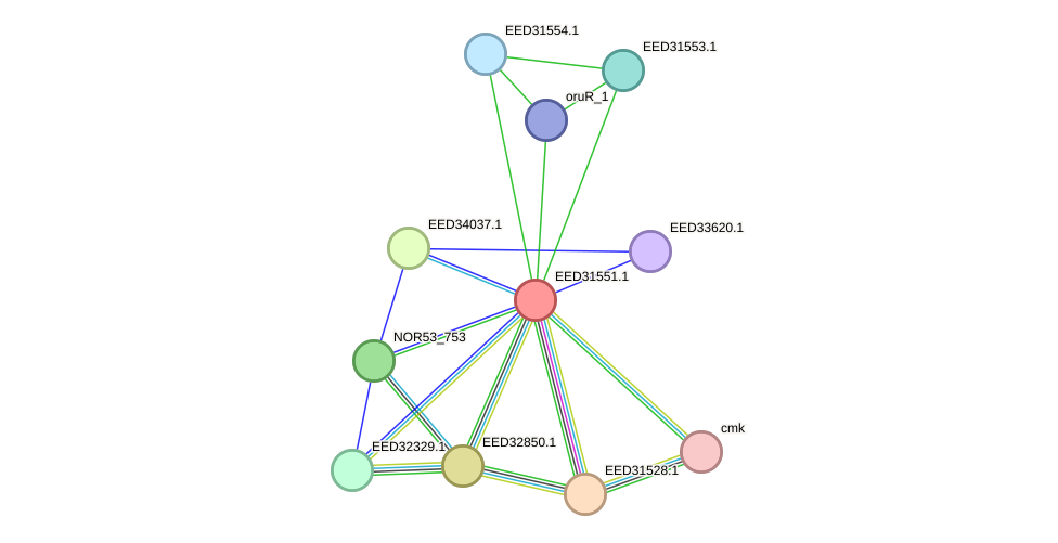 STRING protein interaction network