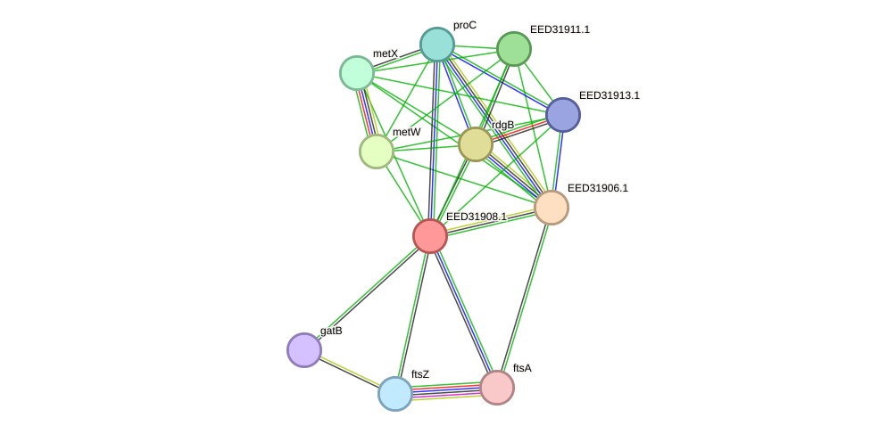 STRING protein interaction network